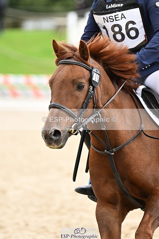 240929-103519-00326 - Cls 1 70-75cm