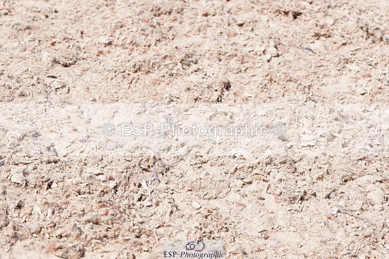 250503-140704-01220 - Cls 27 Stepping Stones