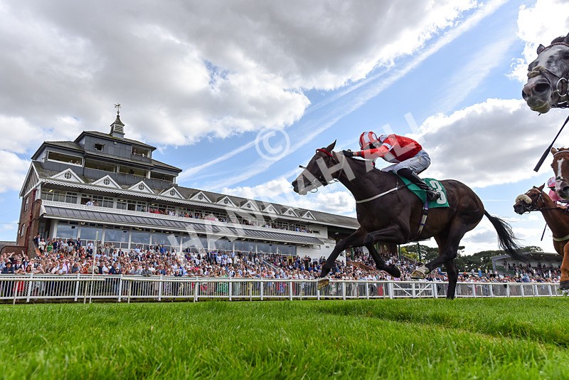 030824-Race 5-La Trinidad-2494 - Race 5