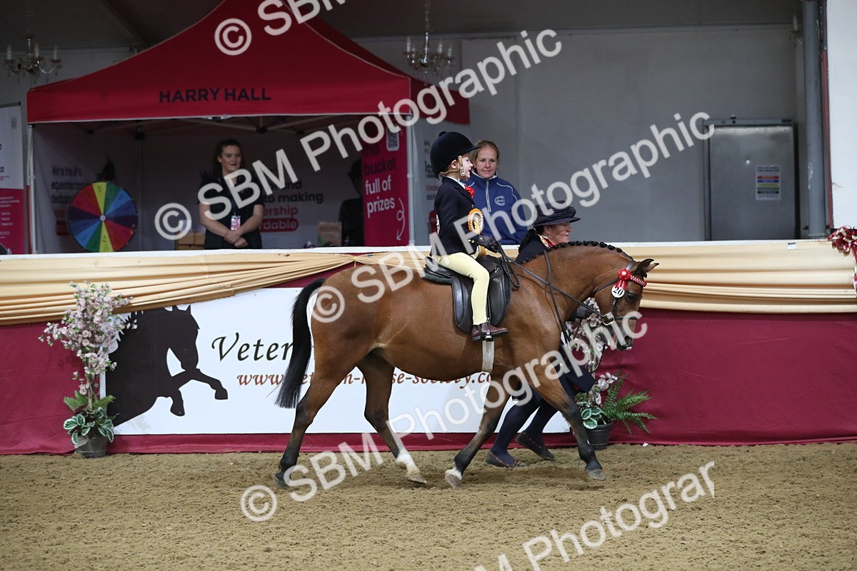 SBM_09394 - Class 101 Equitation (best rider), Junior