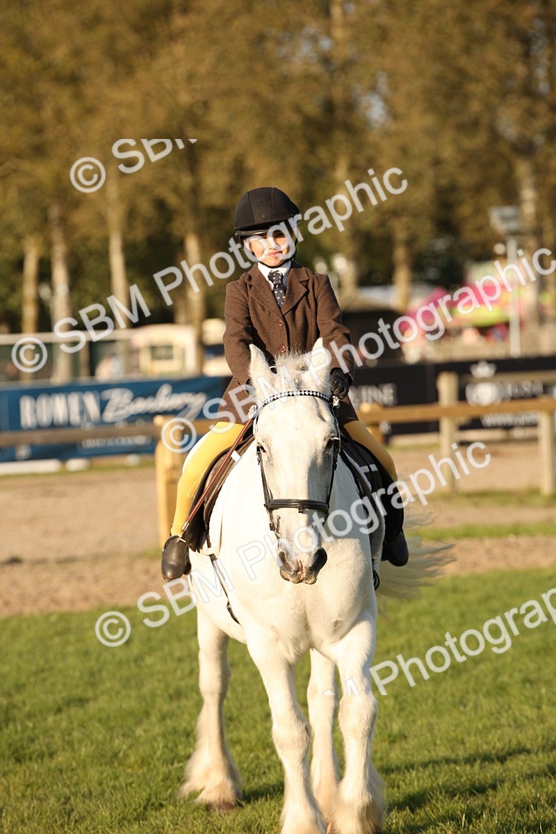 SBM_54425 - S27 - Mature Veteran - Ridden