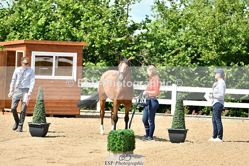 230719A-113336-00020 - Trot Up 11am to 12pm