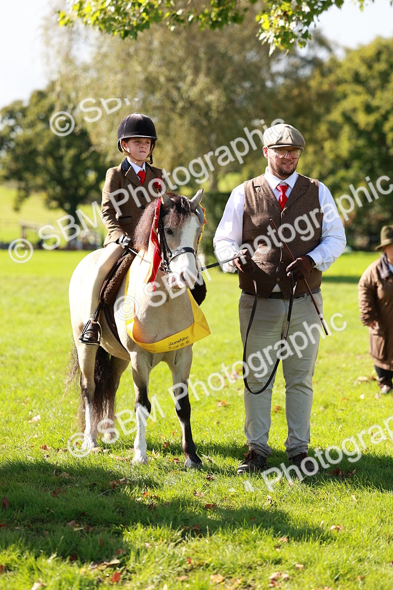 SBM_42197 - S32 - Mountain & Moorland Working Hunter Pony