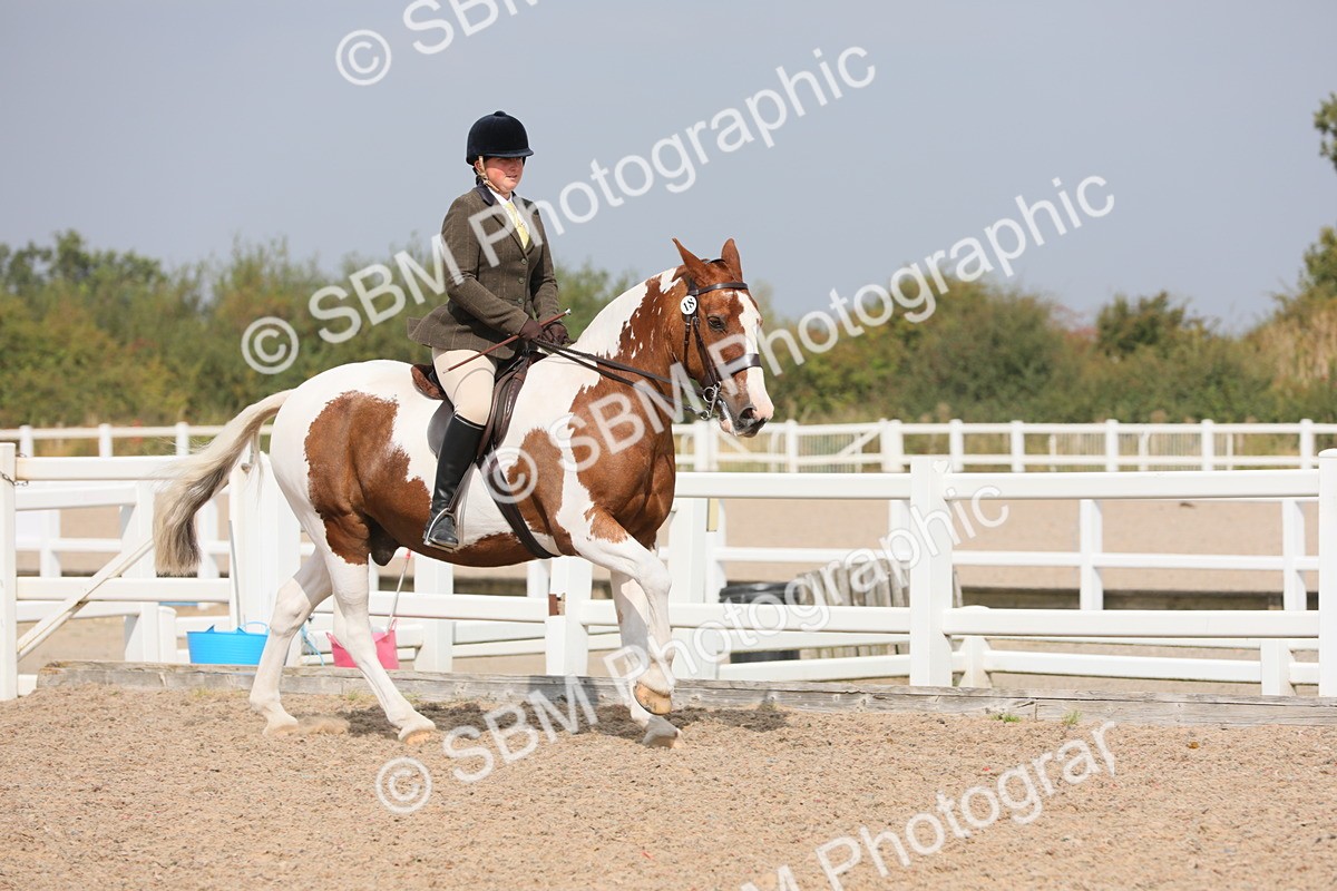 SBM_13347 - Class 308 Ridden Coloured Horse