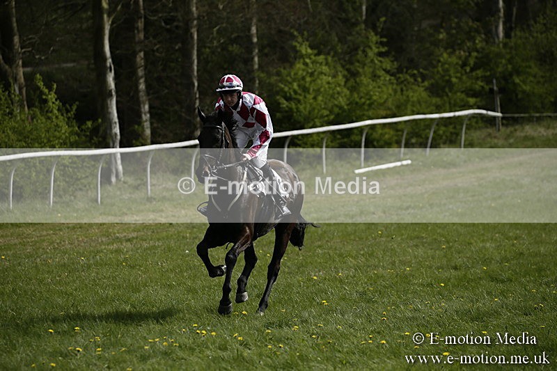 PtP 170417 236 - Old Berks Point-to-Point Lockinge 17/04/17