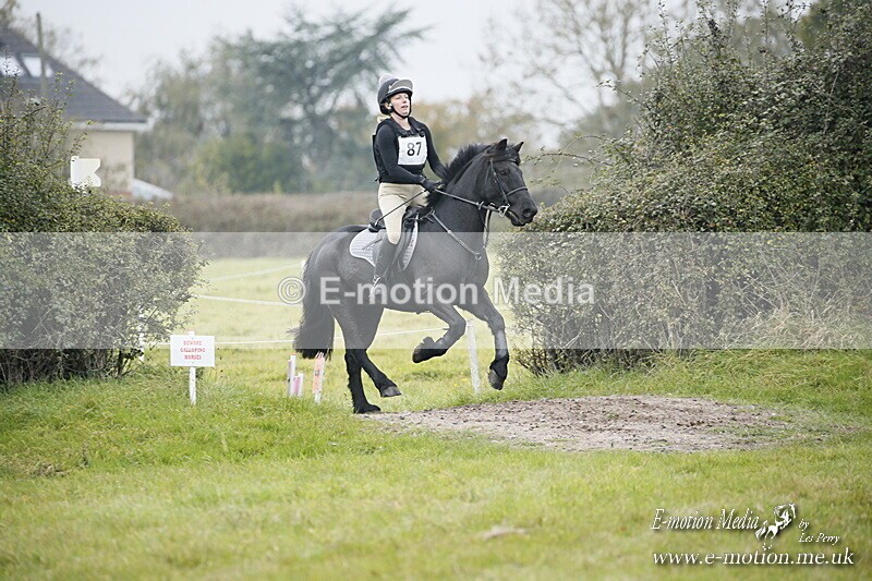 WWHT 181020 WWHT 181020 874 - WWEC Novice Pairs (0.80m) 18/10/20