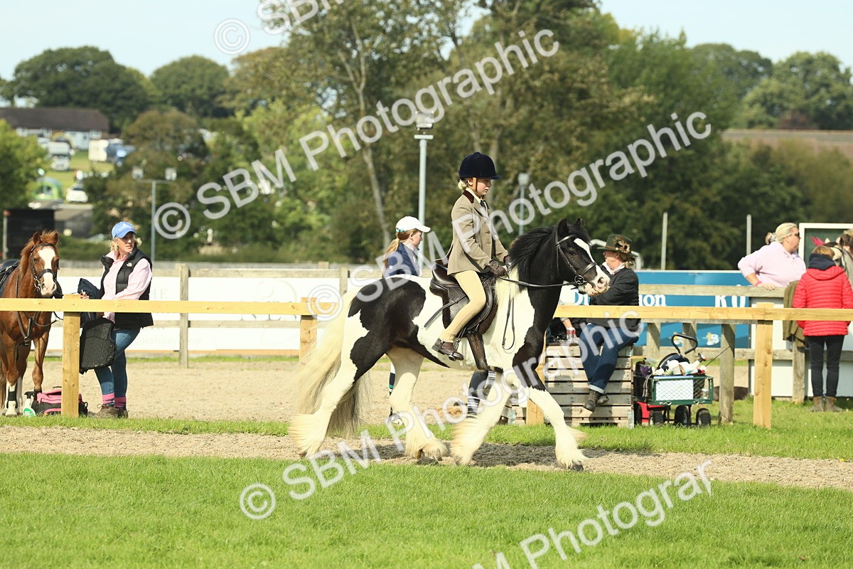 SBM_68894 - S58 - Mini Show Cob Ridden