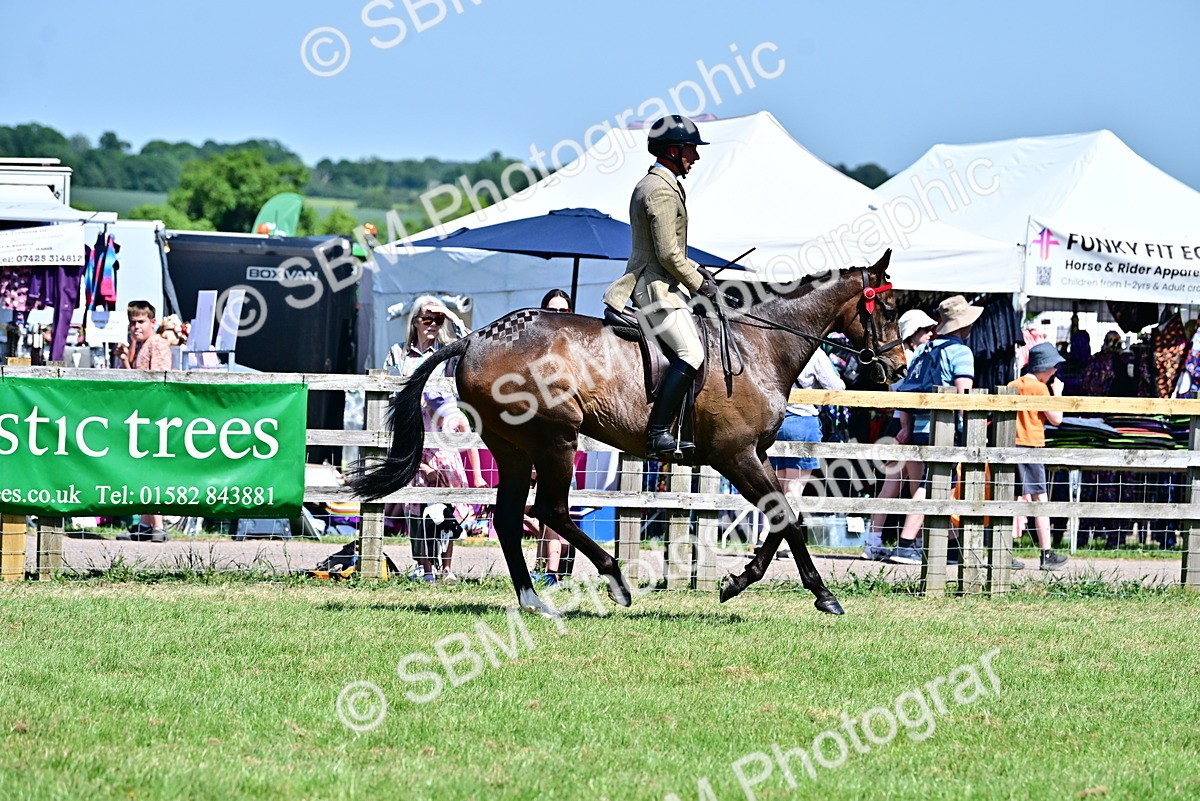 SBM_18175 - Class 99-100 - Retraining of Racehorses Ridden