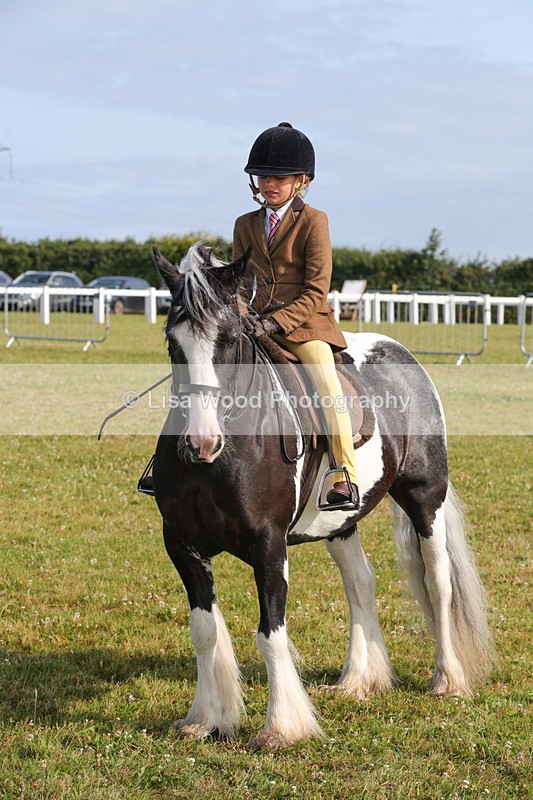 1X9A3304 - Class 28: Ridden Native/Trad Coloured Pony