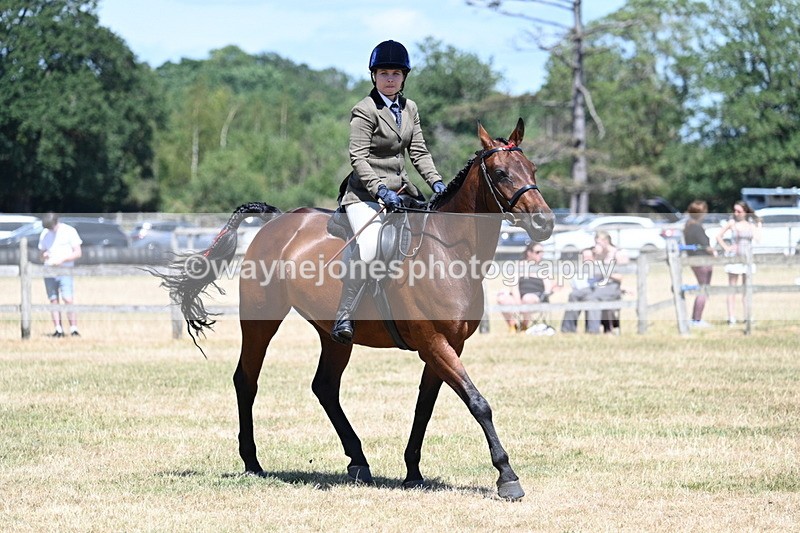 WJ7_3059 - Class 7 Riding Club Show Horse
