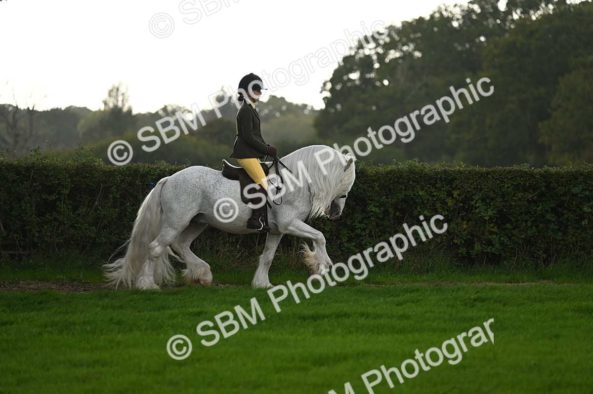 SBM_26582 - S7 - Novice & Newcomer Ridden Pony