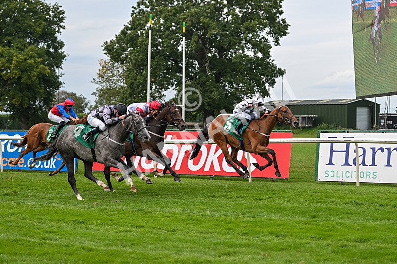 060925-Race 1-Dunkeld Dreamer-4182 - Race 1