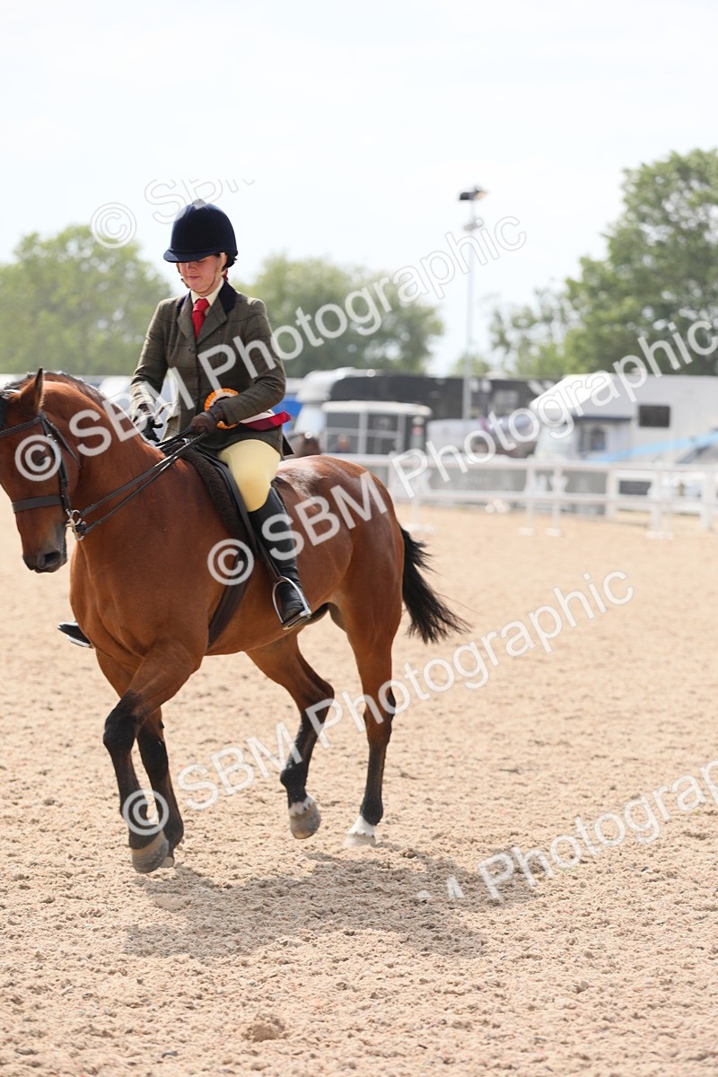 SBM_15633 - Class 311 Ridden Show Pony/ Show Hunter Pony