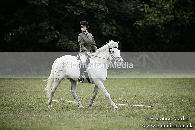 BVR080918 356 - BVRC Novice Dressage & CR 08/09/18