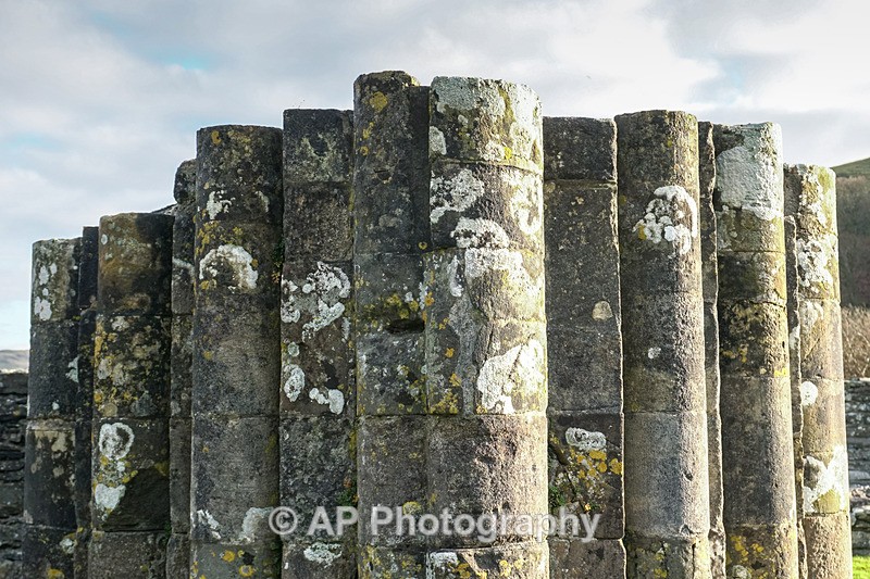 ACP02021-1 - Strata Florida Abbey