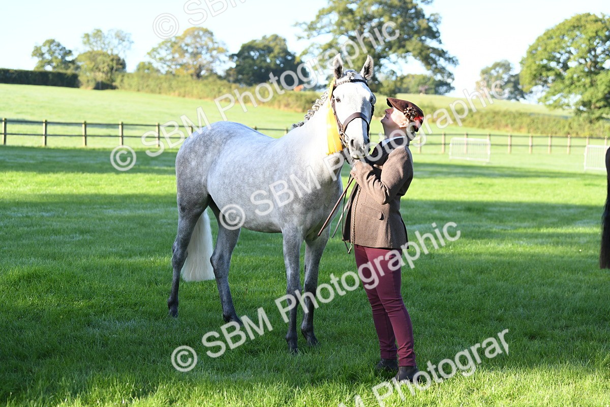 SBM_32842 - S15 - Condition & Turnout In Hand