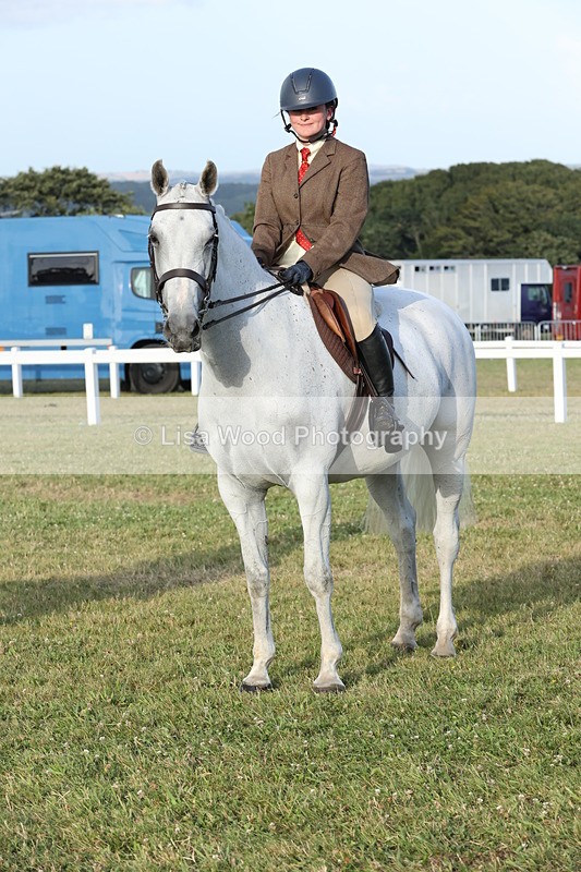 JPP_3710 - Class 24: Open Working Hunter