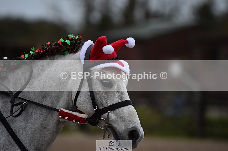 231210-085526-00033 - Cls 1 Diddy X Poles