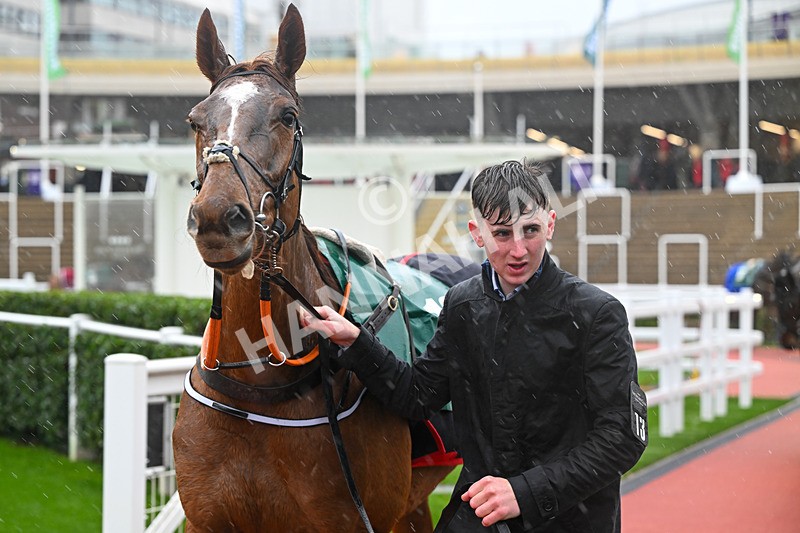 141125-Race 1-Rockstown Girl-8527 - Race 1