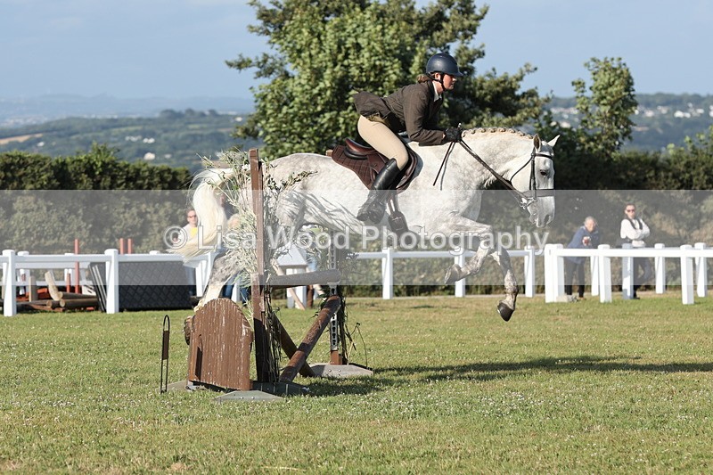 JPP_3414 - Class 22: Working Hunter 90cm