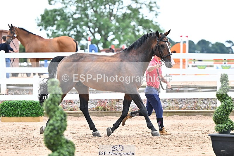 240718A-105327-02020 - Trot Up 2pm to 3pm - This folder is not in time order