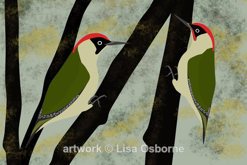 Green woodpeckers - DIGITAL ARTWORK