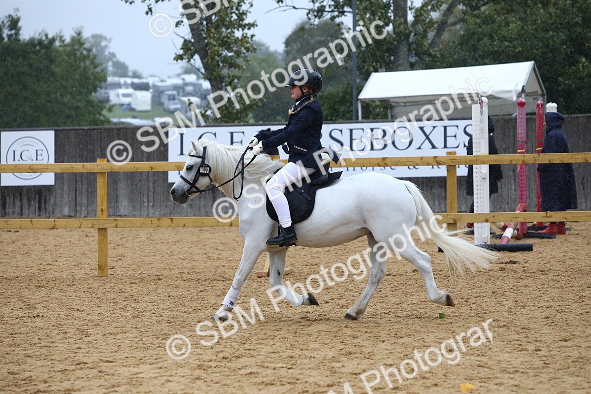 SBM_71447 - J4 - Mini Tour Junior Pony 45cm Championship