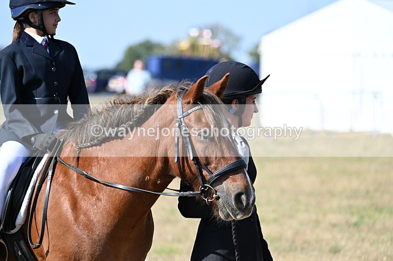 WJ7_2878 - Class 8 Ridden Tack & Turnout