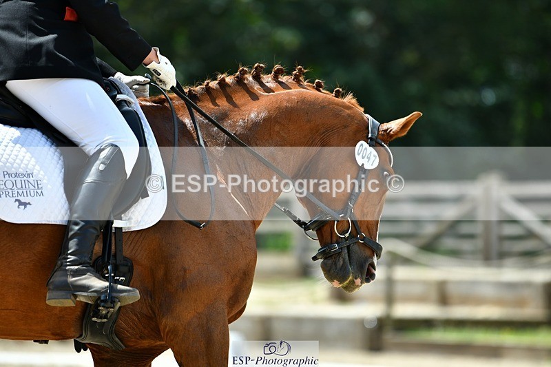 230623-125346-02280 - Cls 4 Novice 37Q 12.45 to End