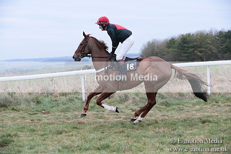 PtP 060119 525 - Larkhill Racing Club - Point-to-Point- 06/01/2019