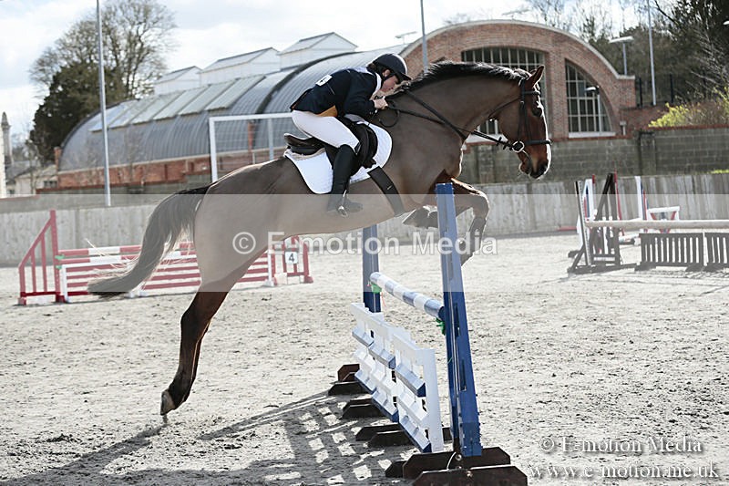 BVRC SJ 170319 688 - Bourne Valley Riding Club Showjumping 17/03/19