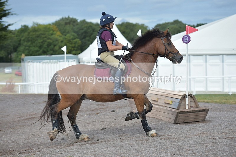 NGP_1160 - XC Time 10:38 to 10:51