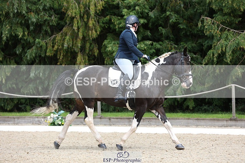 230813-140237-07493 - Cls 11 Elem Bronze 13.15 to 14.10 break