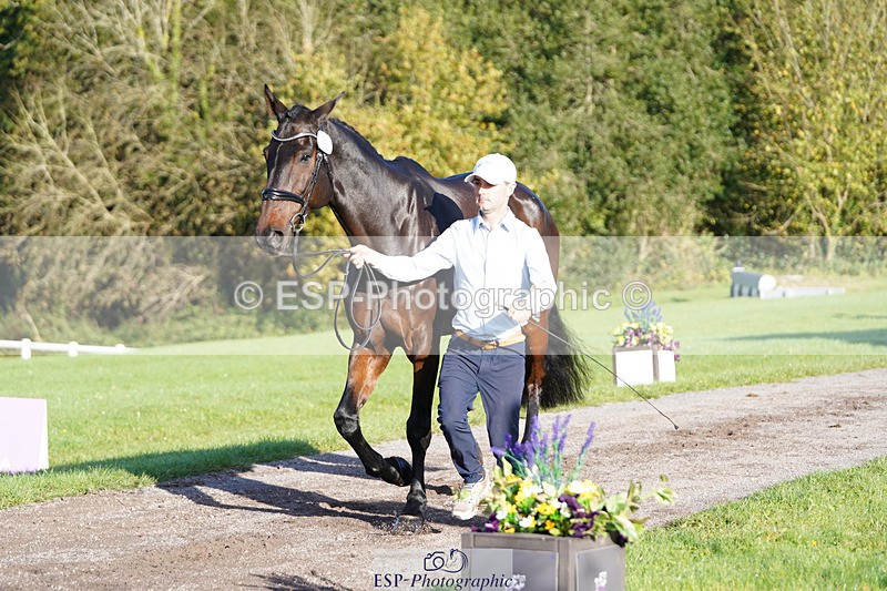 241026-101424-11707 - 051-Tommy.Greengard-BALLADEER.KILBRICKENS.LAD