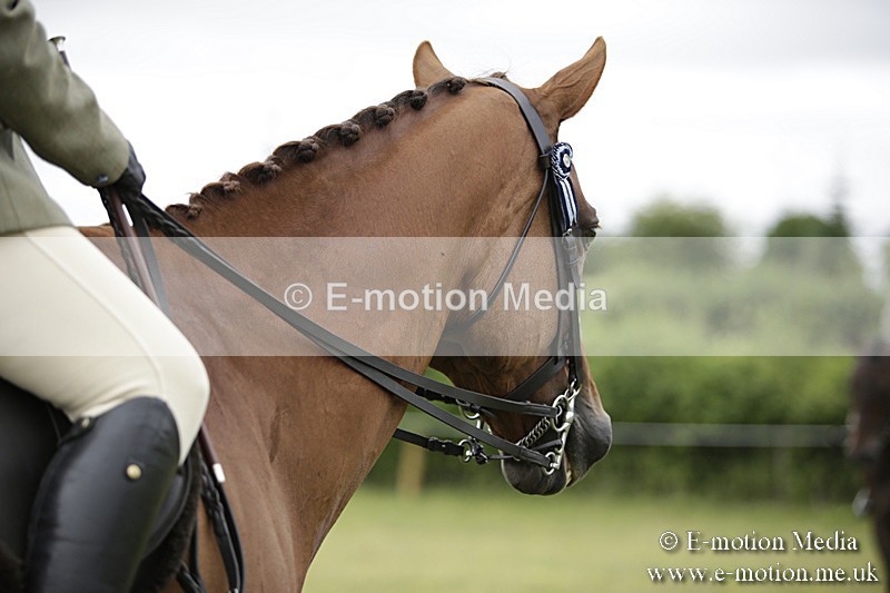 BVR160717-459 - Ring 1 BVRC Show 16/07/17