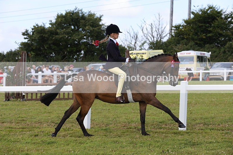 1X9A3903 - Class 31: Show Pony 148cm and under