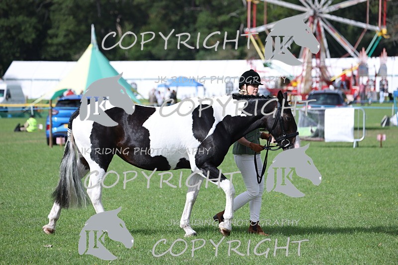 APP_2571 - Class 9 Veterans in hand