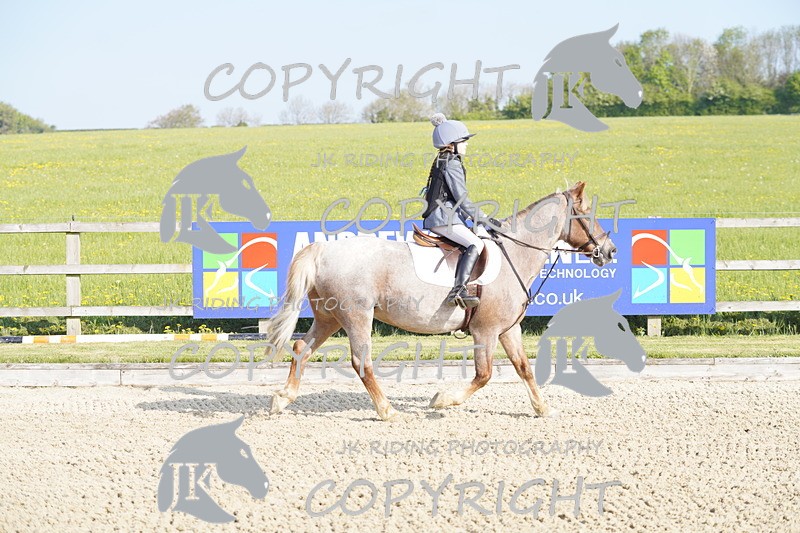 _DSC6414 - USJL Oakingham Stud 27.04.25