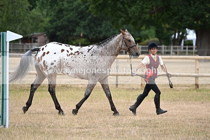 WJ6_8519 - Class 10 Coloured in Hand