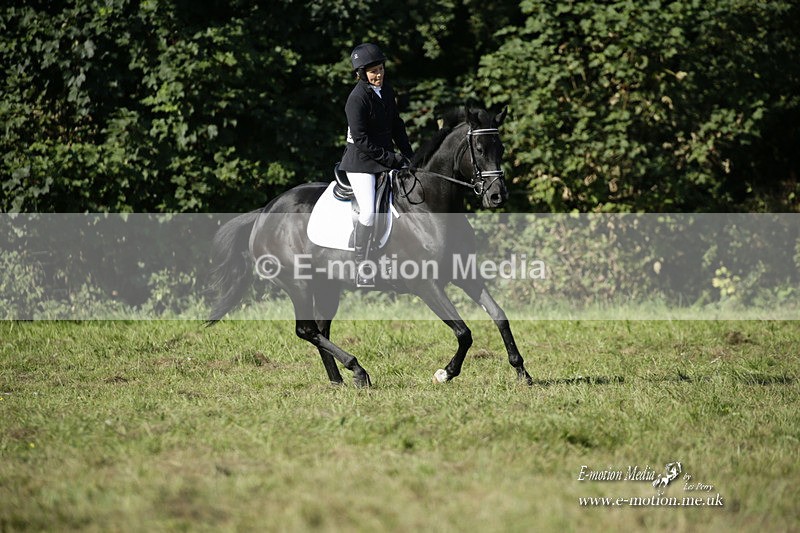 BVRC 120921 188 - Bourne Valley Riding Club UA Dressage & Show Jumping 12/09/21