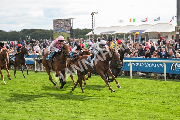 210825-Race 5-Charlottes Web-5043 - Race 5 4.10pm British EBF & Sir Henry Cecil Galtres Stakes