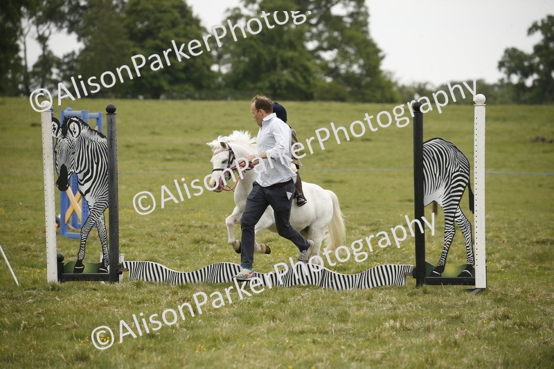 20250517-0173 - Class 1 - 30cm On Lead Rein