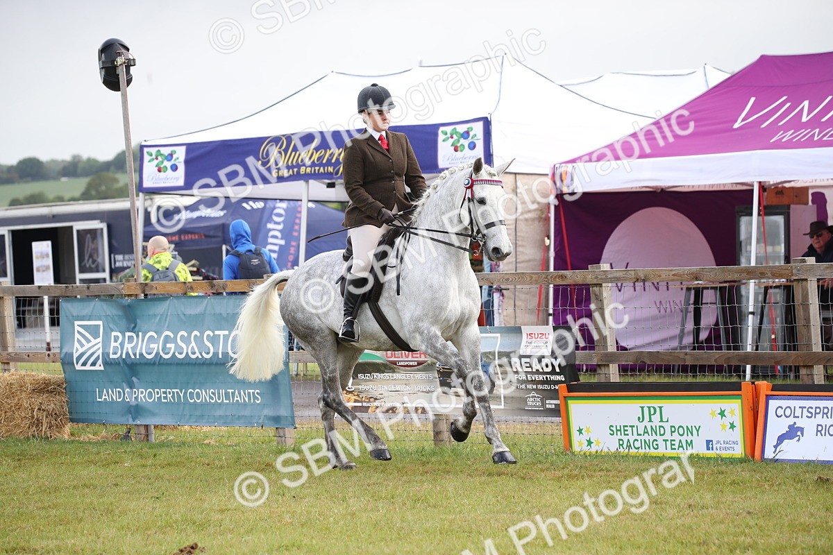 SBM_11510 - Class 95-96 - LIHS BSHA Rising Star Hack Riding Horse