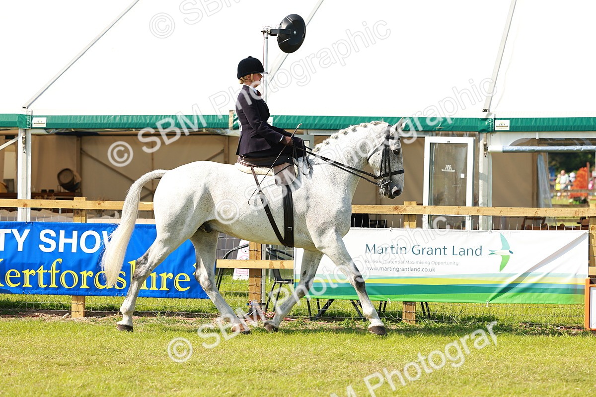 SBM_13114 - Class 70-71 - Side Saddle