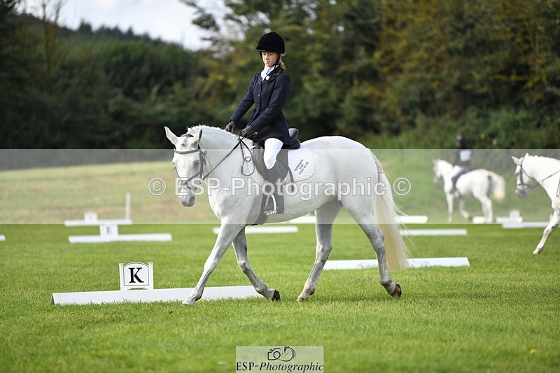 230826-104358-15585 - Sections C & D 10 to End