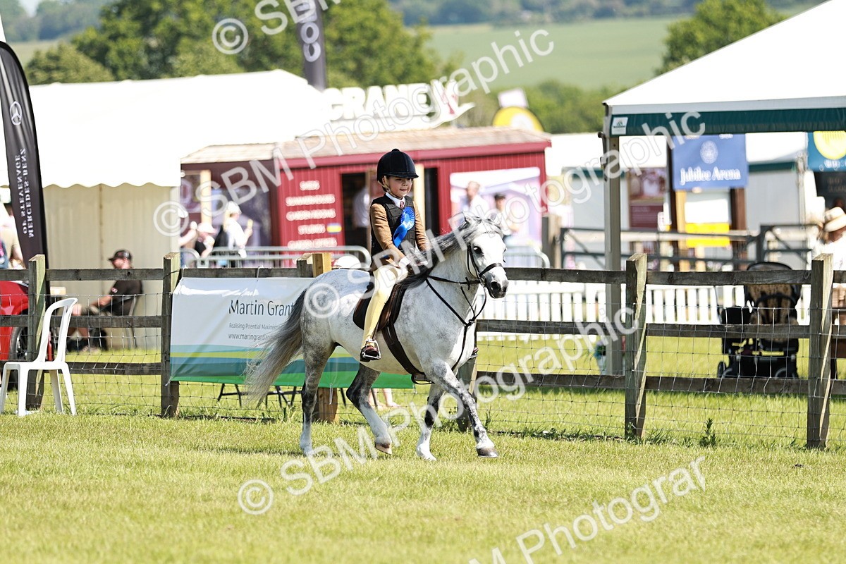 SBM_12839 - Class 106-107 - BSPS LIHS Working Sports Pony