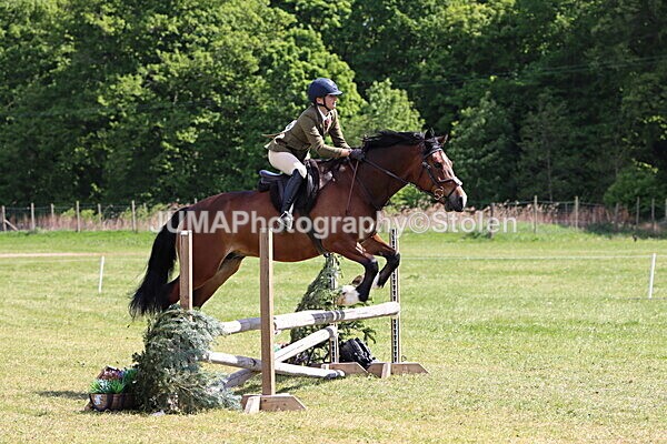 IMG_4203 - Working Hunter