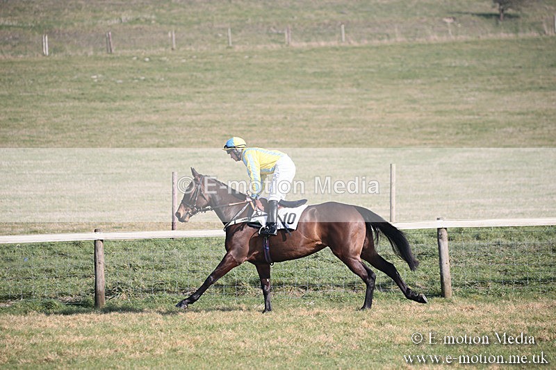 PtP 230219 157 - Vine & Craven Point-To-Point - Barbury 23/02/19