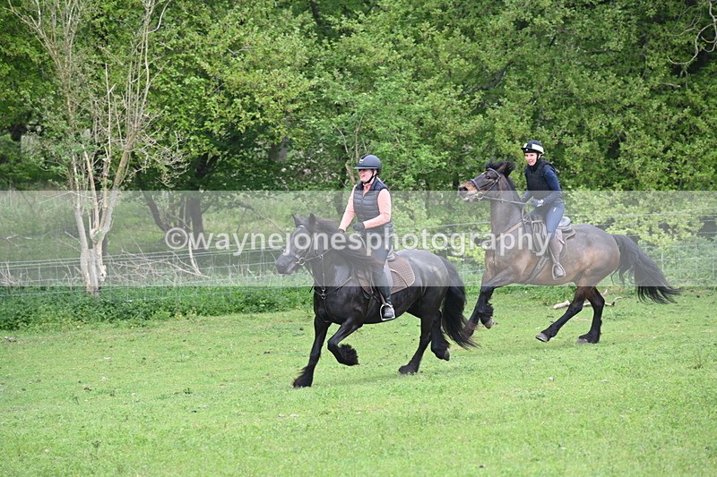 WJ6_2656 - A camera