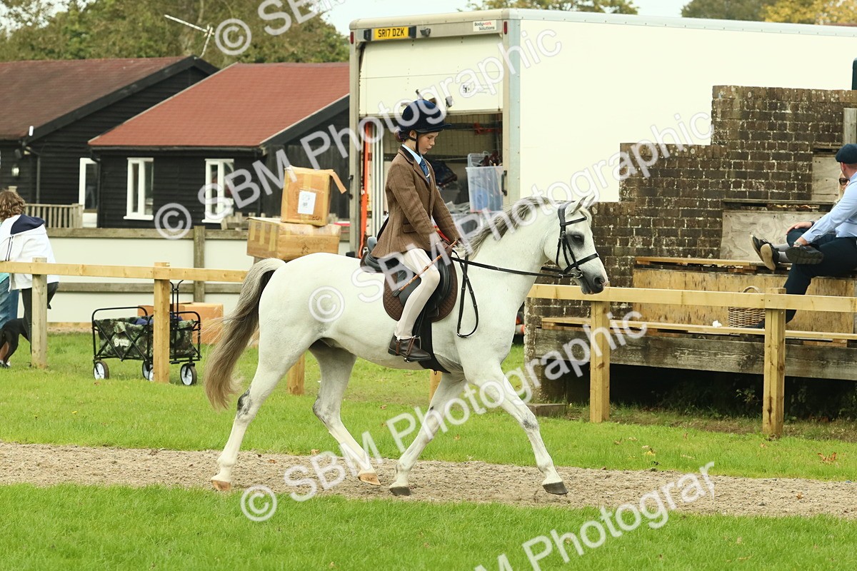 SBM_69914 - S59 - Mountain & Moorland Ridden Small Breeds
